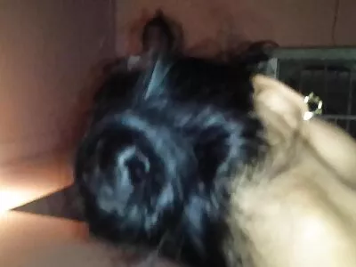 جعل زوج افلام سكس ممنوعه من العرض للكبار فقط هاغارد ينشط